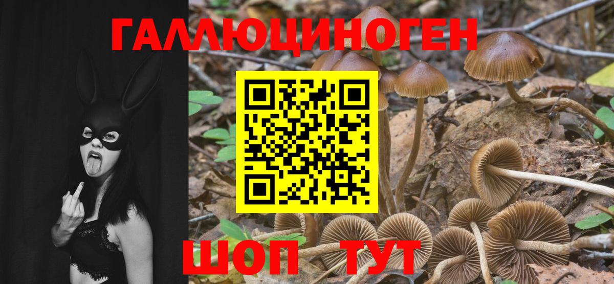 Галлюциногенные грибы мухоморы  Вход с VPN  Галлюциногенные грибы мицелий  Ступино 